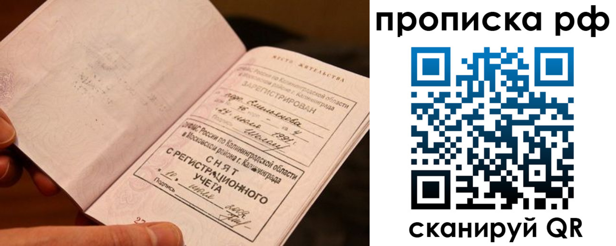 прописка гарантия в Холмске